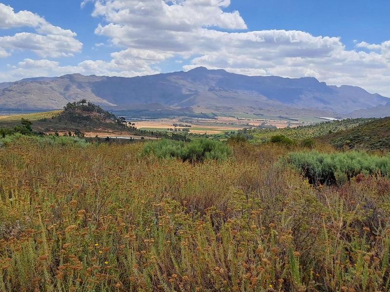 0 Bedroom Property for Sale in Wolseley Western Cape